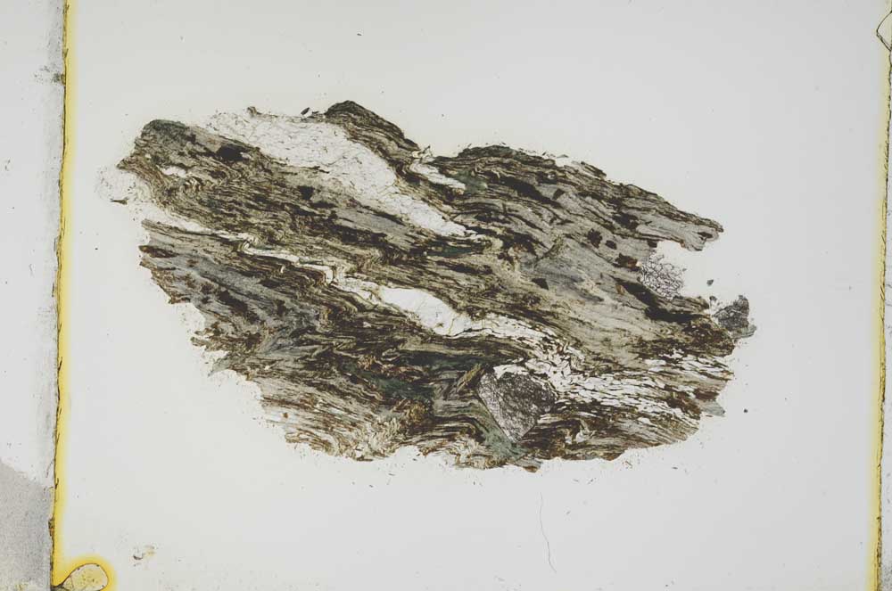 Plane Polarized, S3755