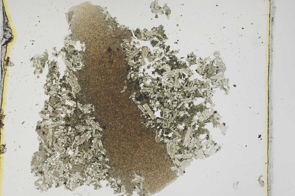 Plane Polarized, S3758