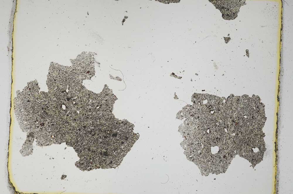 Plane Polarized, S3767