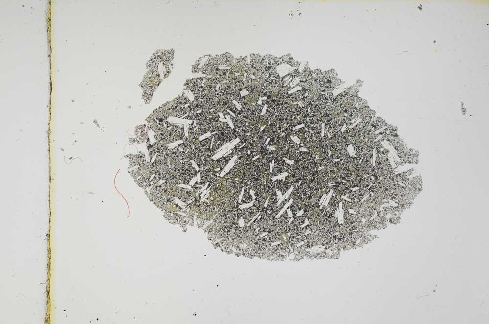 Plane Polarized, S3771