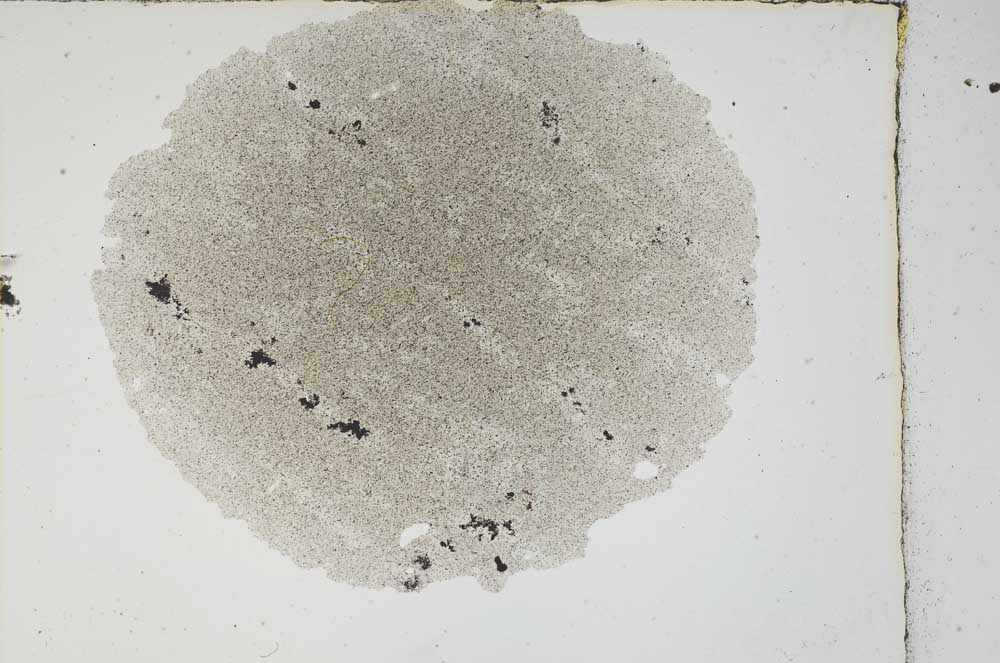 Plane Polarized, S3772