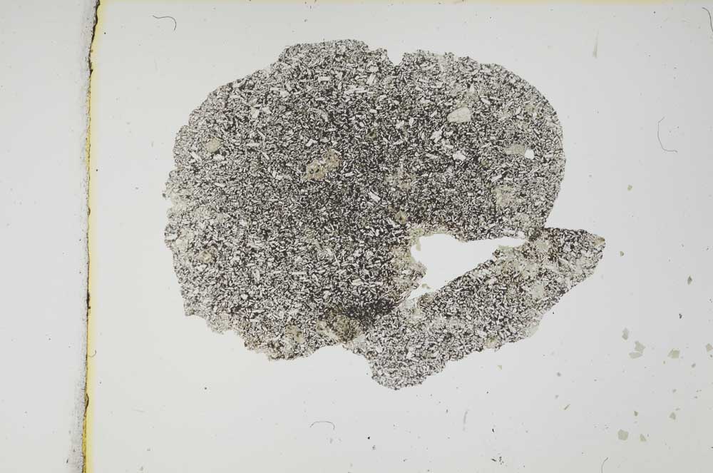 Plane Polarized, S3774