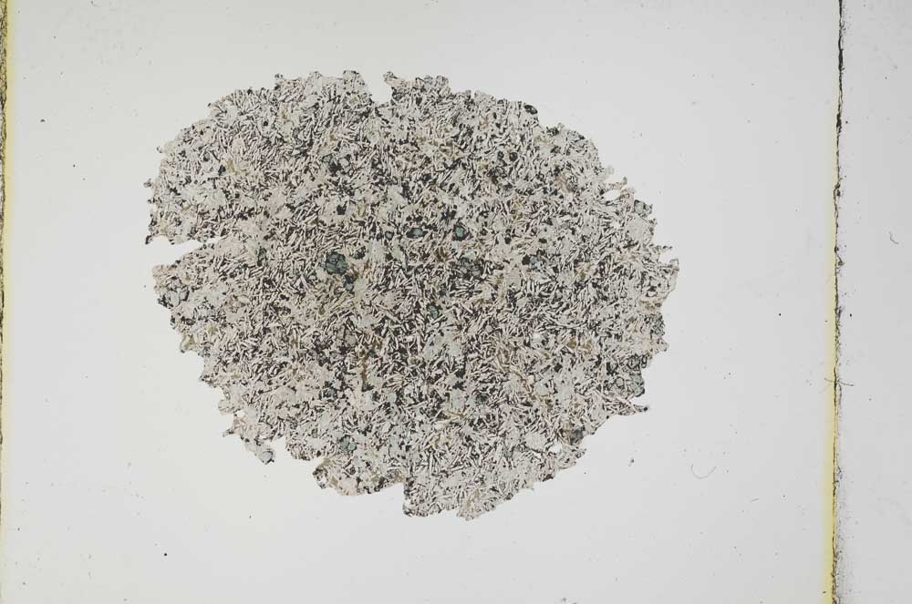 Plane Polarized, S3780