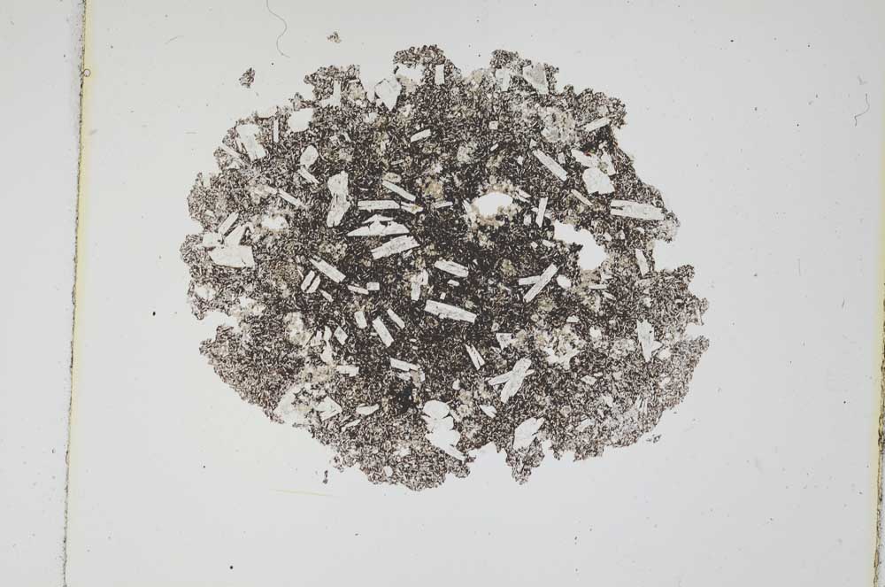 Plane Polarized, S3782