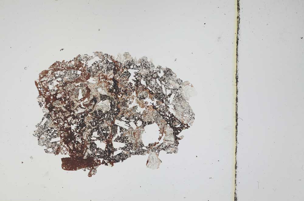 Plane Polarized, S3785