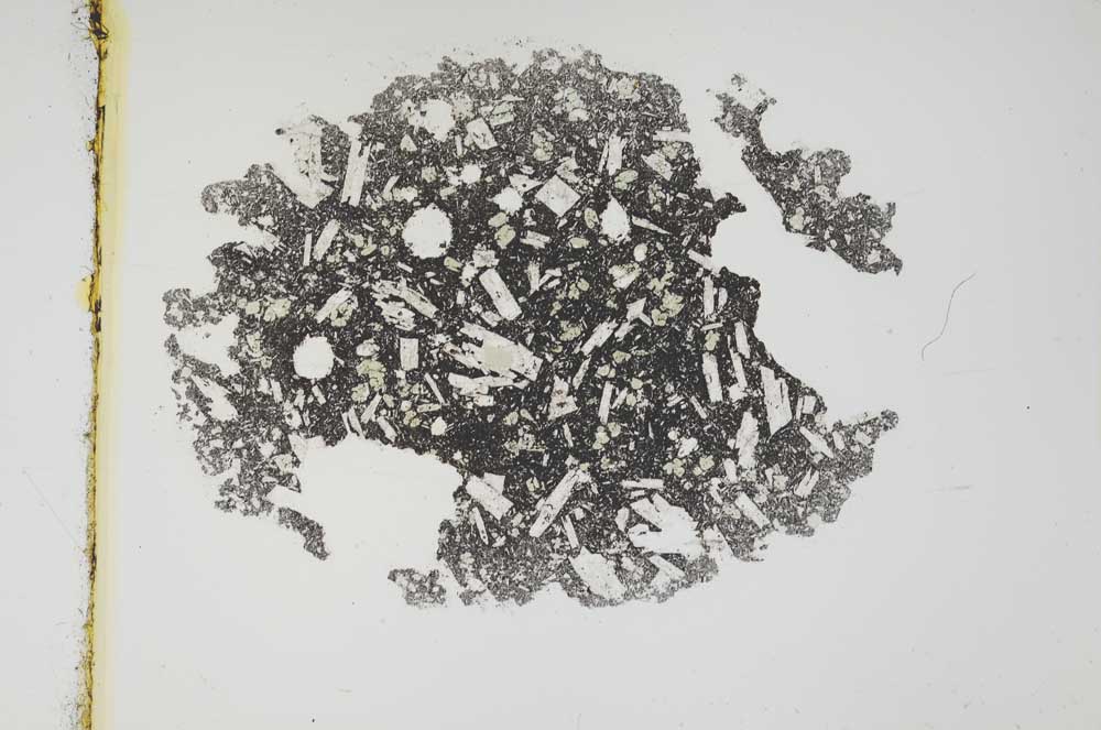 Plane Polarized, S3786