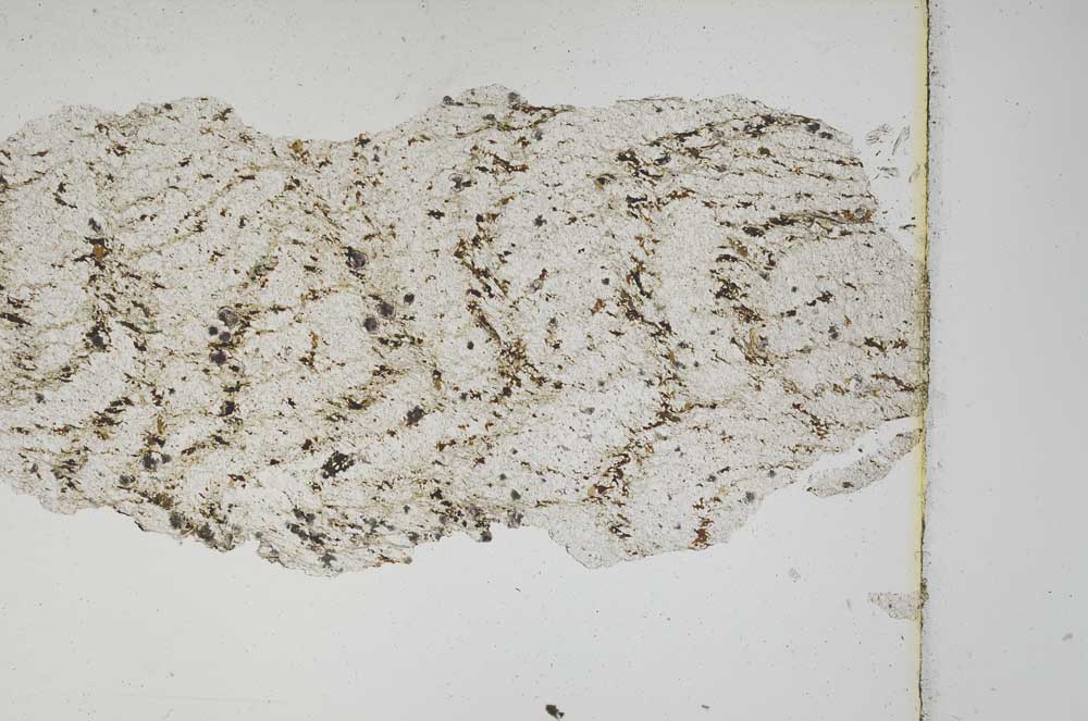 Plane Polarized, S3802