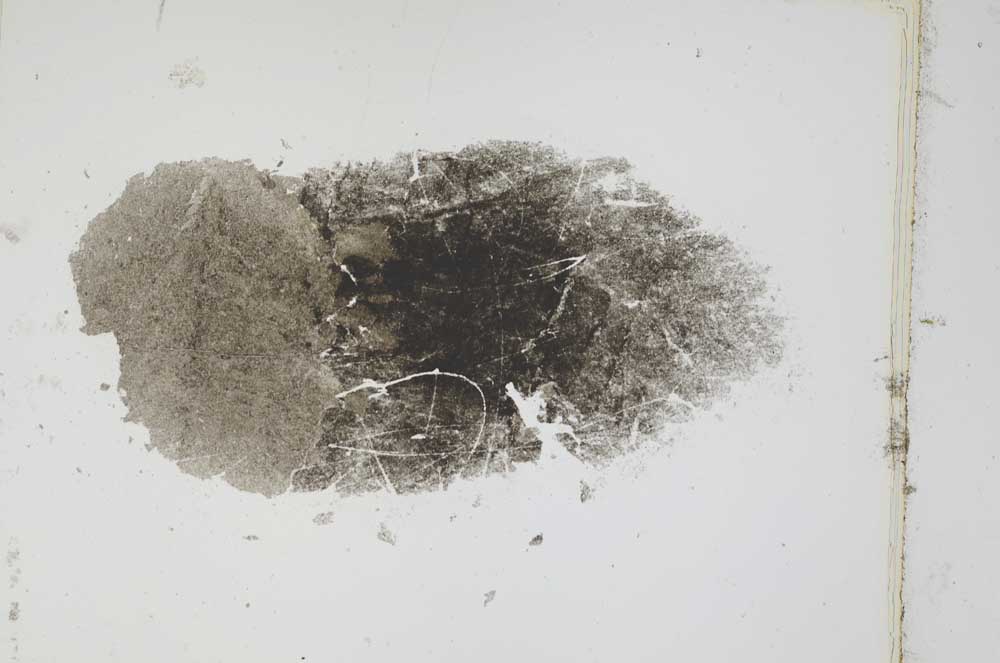 Plane Polarized, S3826