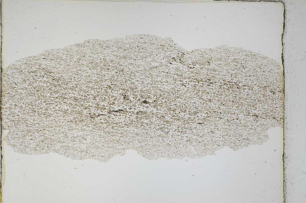 Plane Polarized, S3838