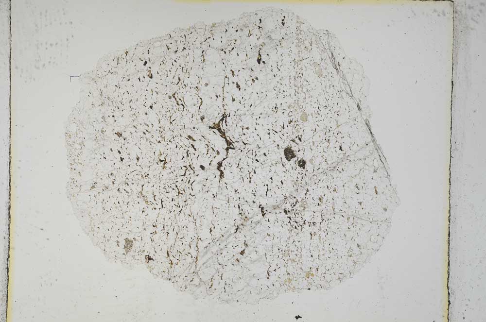 Plane Polarized, S3841