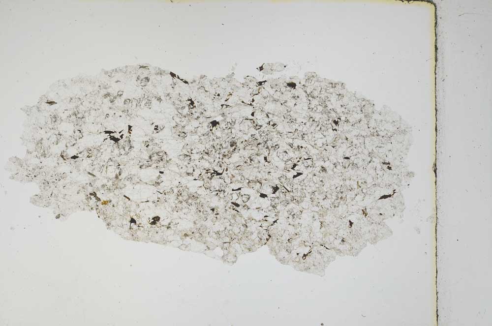 Plane Polarized, S3860