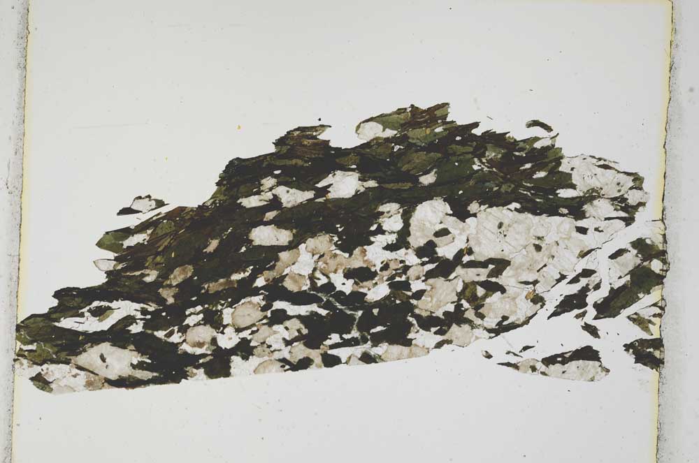 Plane Polarized, S3861