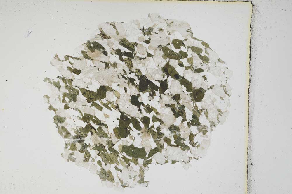 Plane Polarized, S3861/a