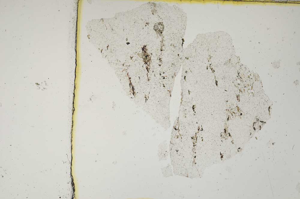 Plane Polarized, S3867