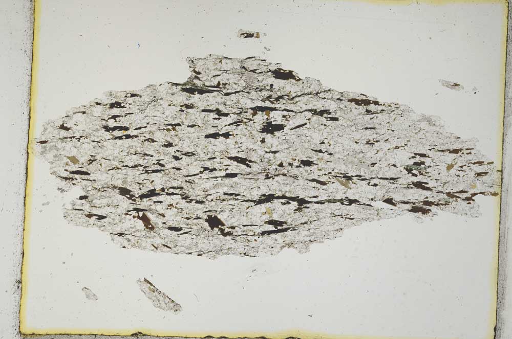 Plane Polarized, S3875