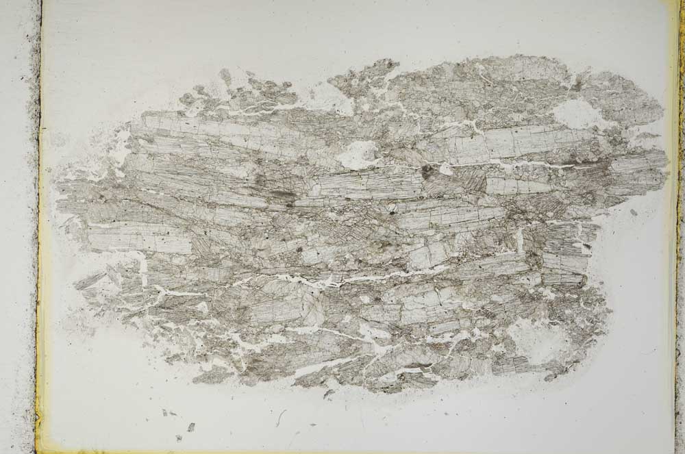 Plane Polarized, S3879