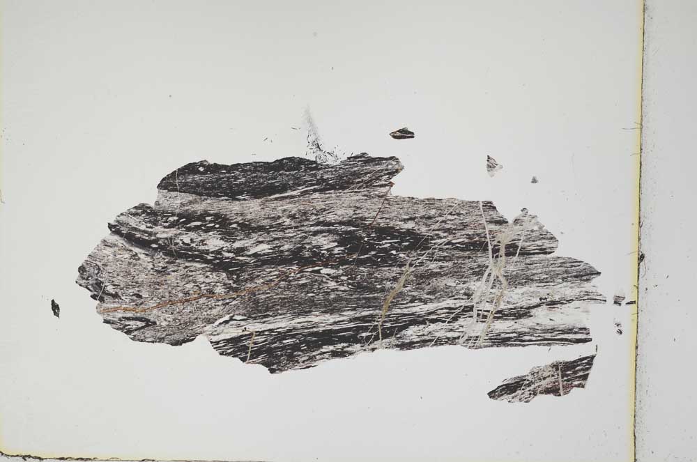 Plane Polarized, S3888
