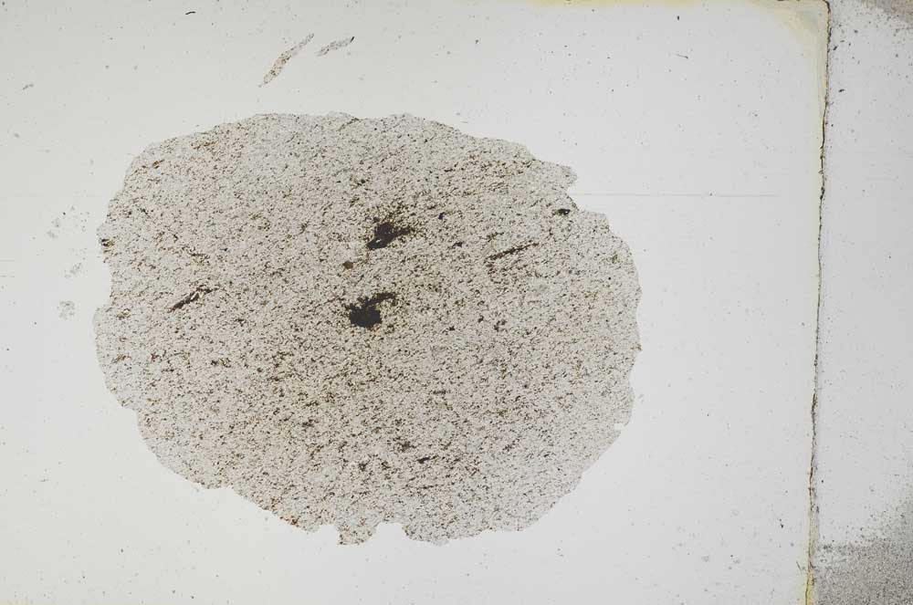 Plane Polarized, S3898