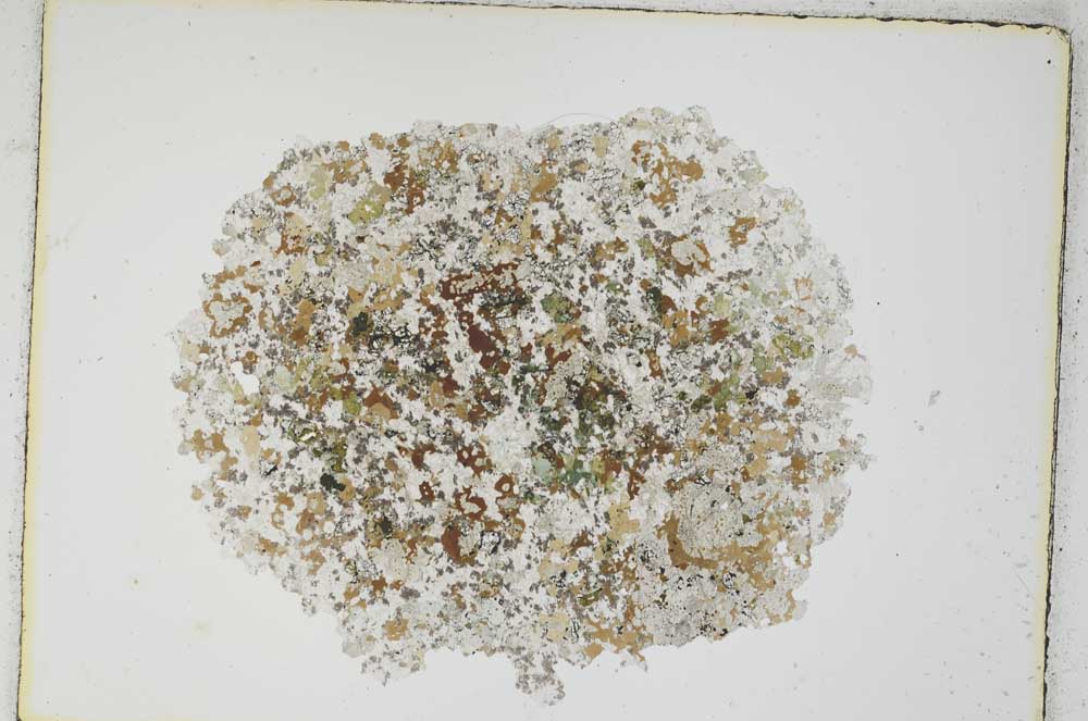 Plane Polarized, S3901