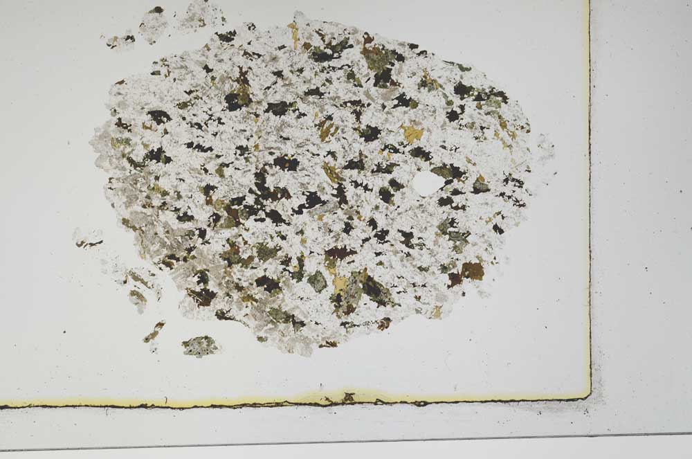 Plane Polarized, S3902