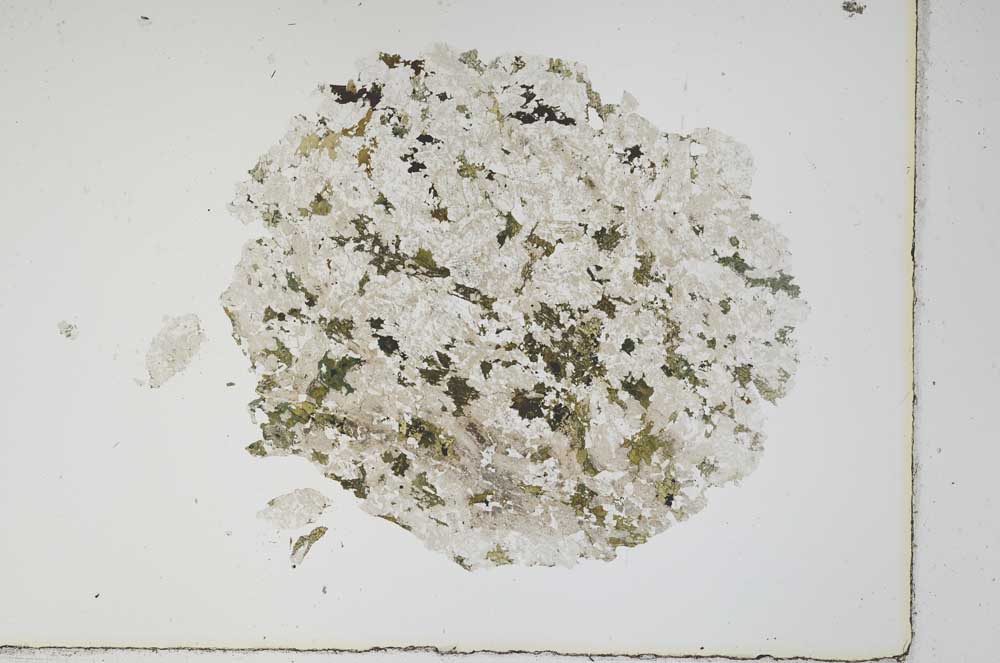 Plane Polarized, S3903