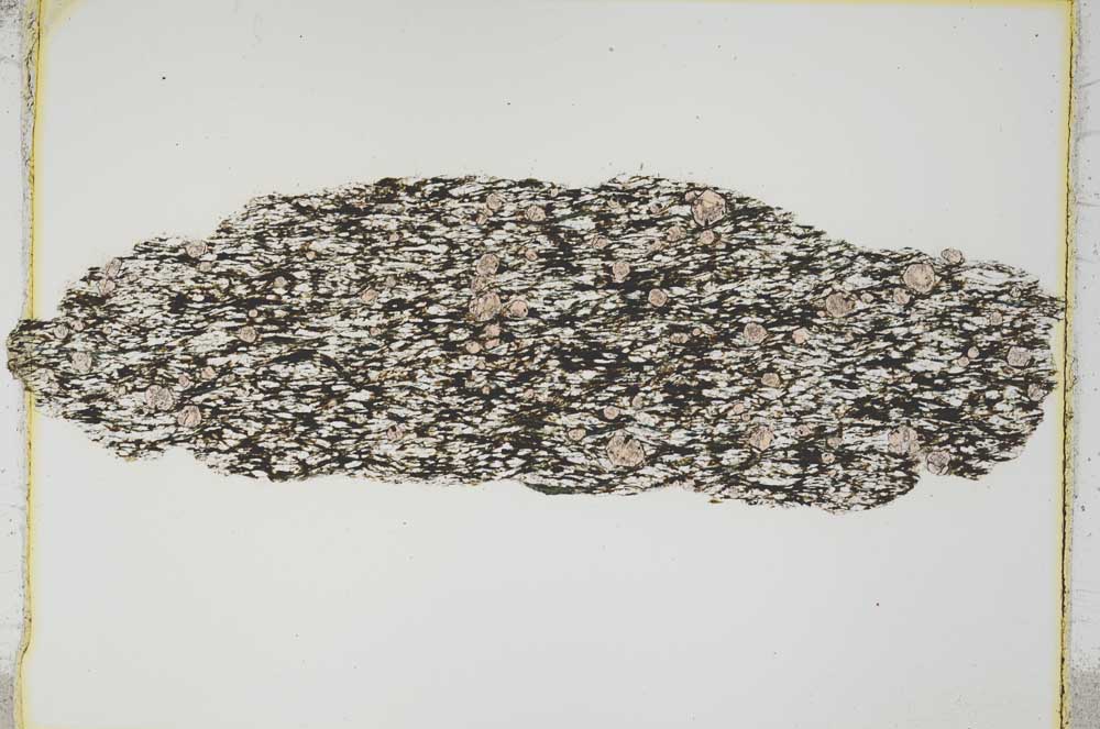 Plane Polarized, S3904