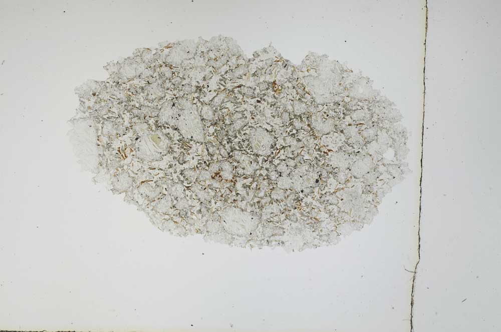 Plane Polarized, S3915