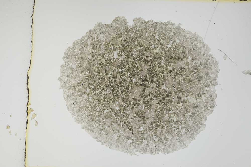 Plane Polarized, S3916