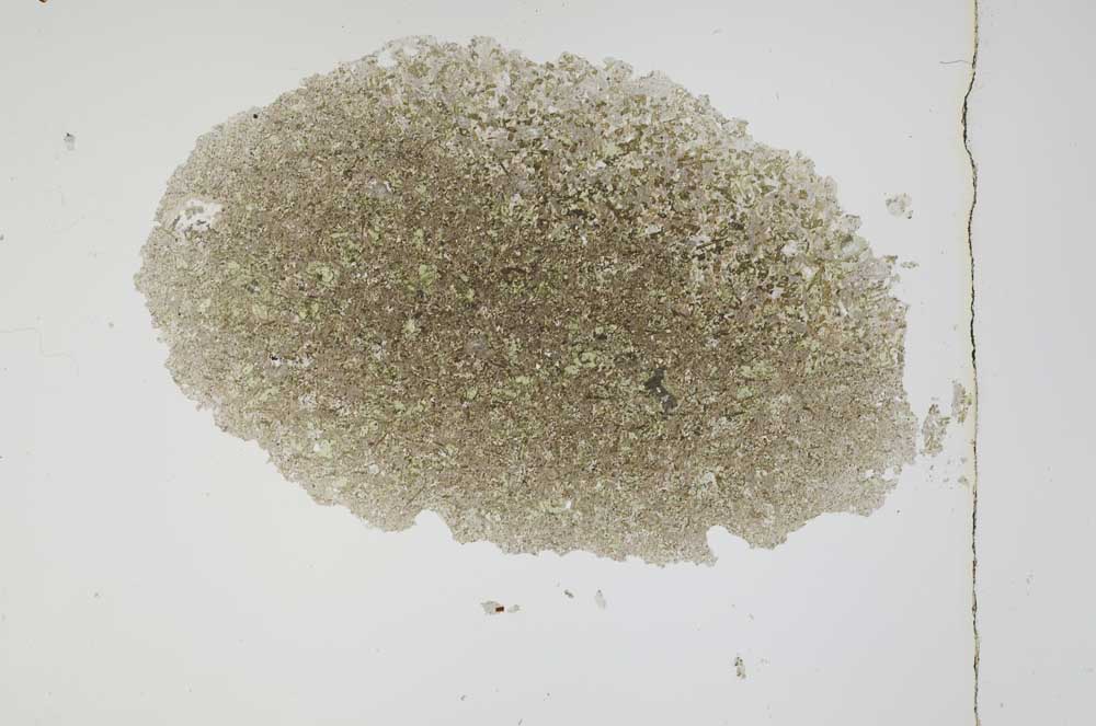 Plane Polarized, S3917