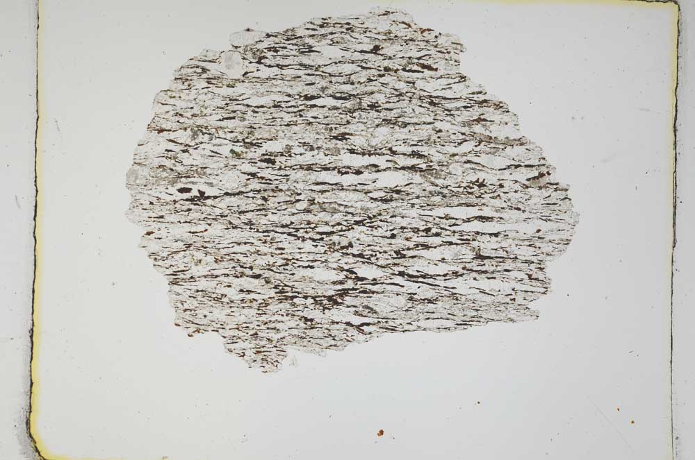 Plane Polarized, S3925