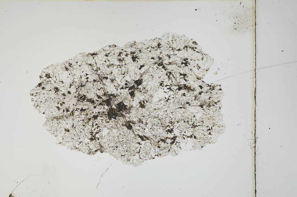 Plane Polarized, S3931
