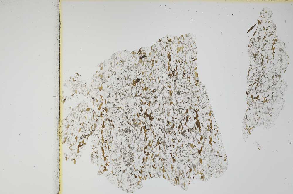 Plane Polarized, S3943