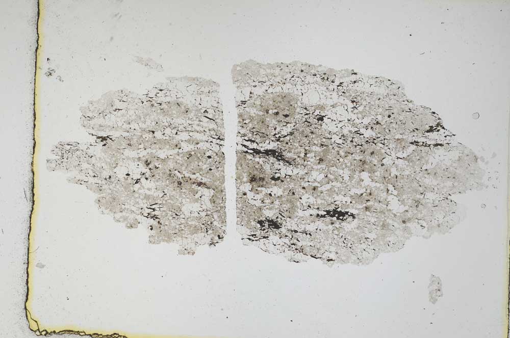 Plane Polarized, S3952