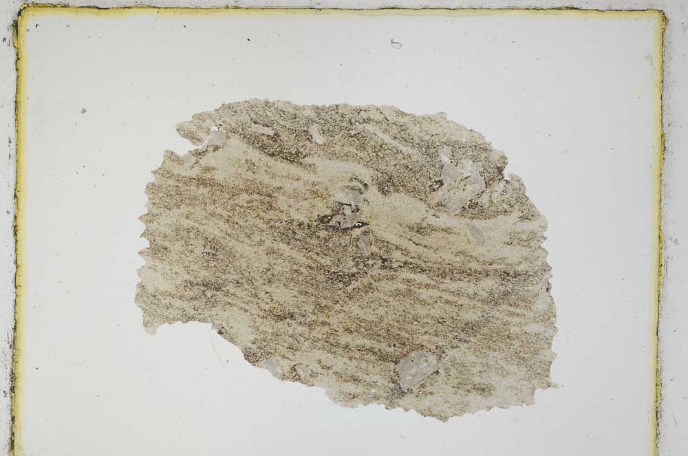 Plane Polarized, S3975