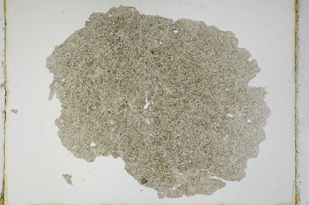 Plane Polarized, S3976