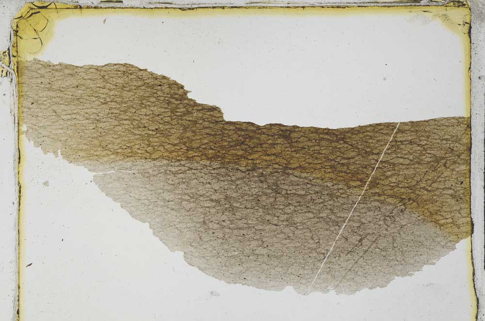 Plane Polarized, S3984