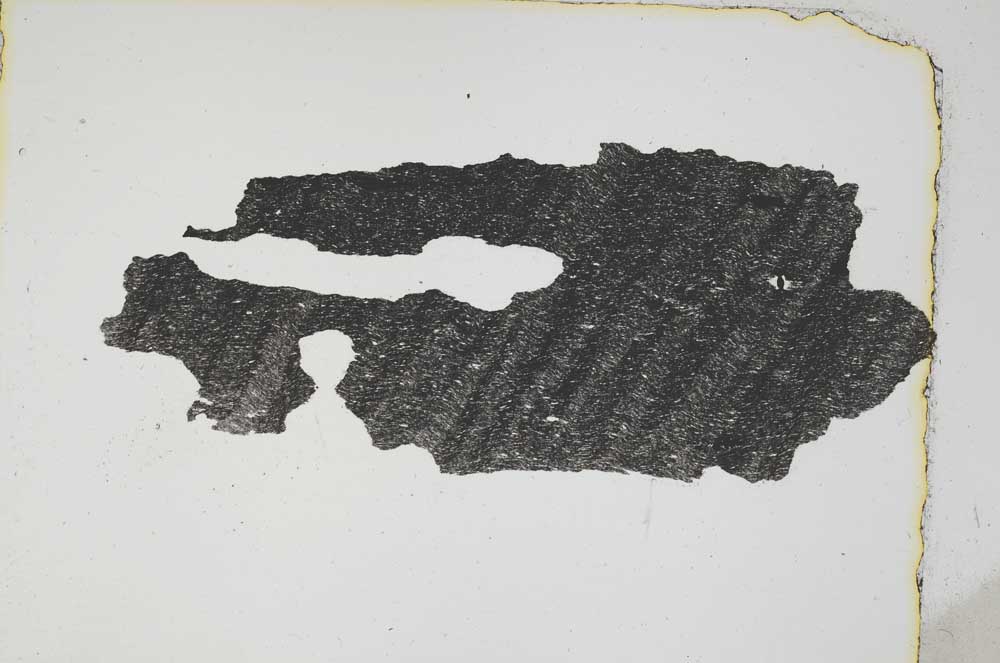 Plane Polarized, S4001