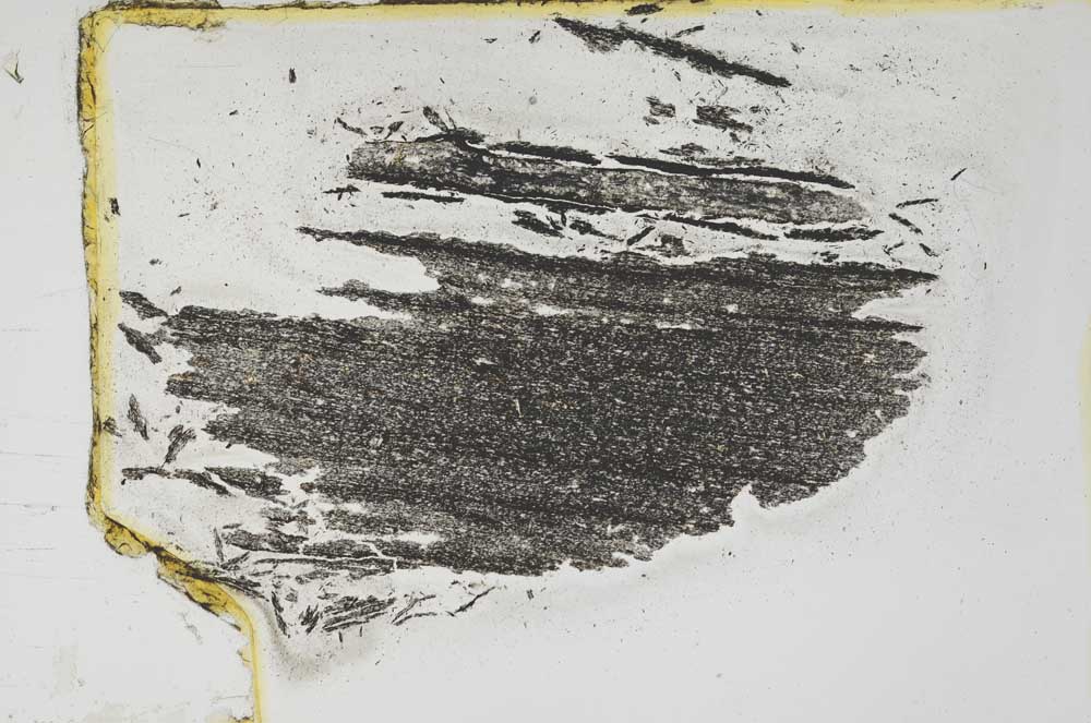 Plane Polarized, S4002/A