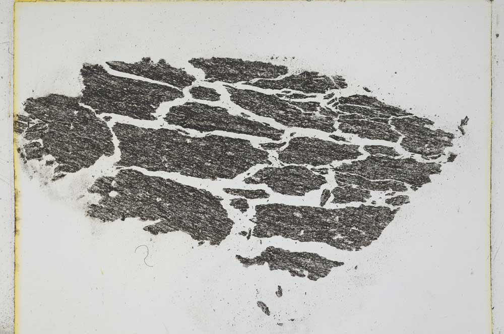 Plane Polarized, S4002/B