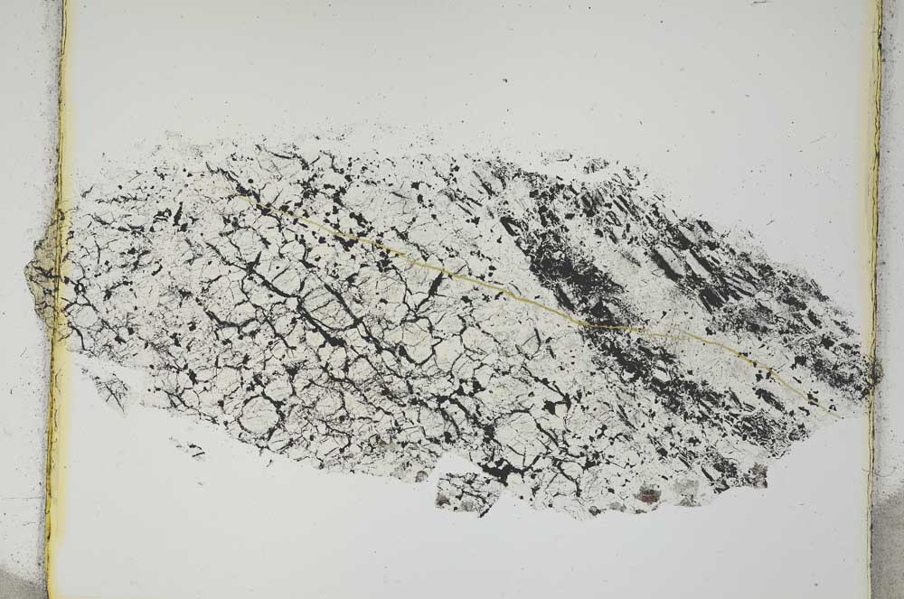 Plane Polarized, S4041