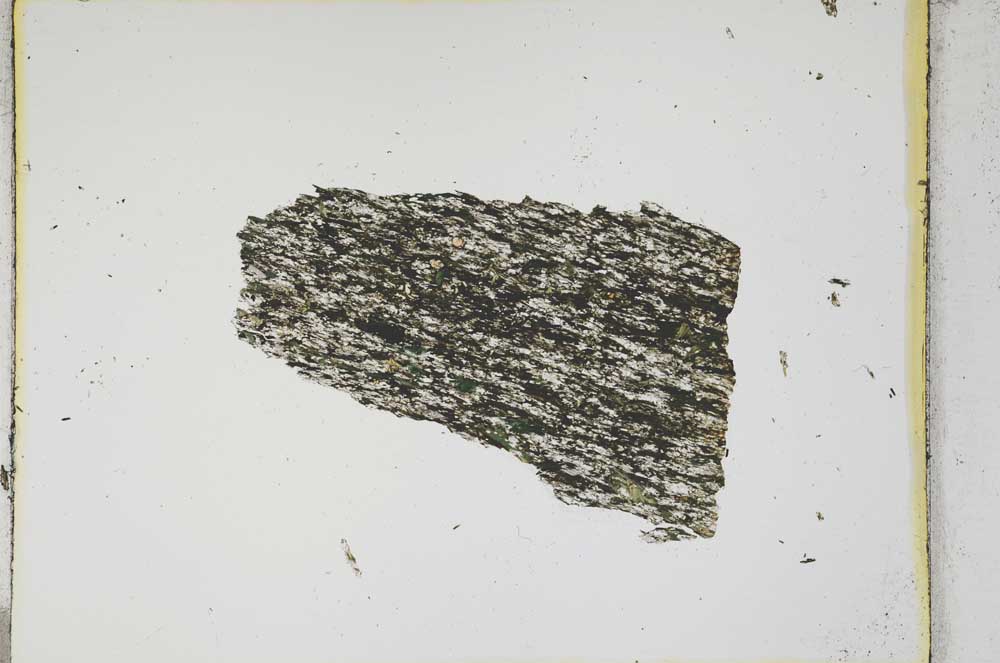 Plane Polarized, S4052