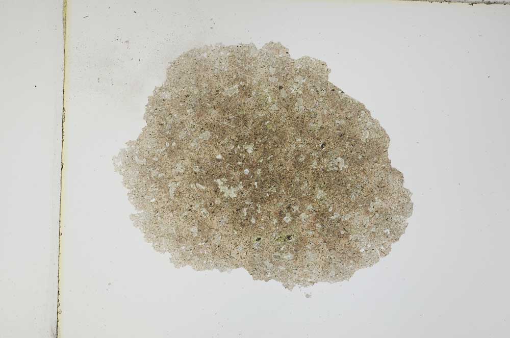 Plane Polarized, S4065