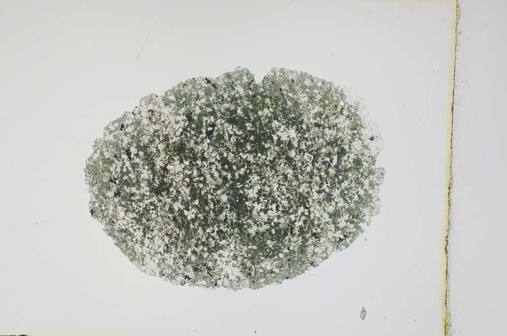 Plane Polarized, S4071