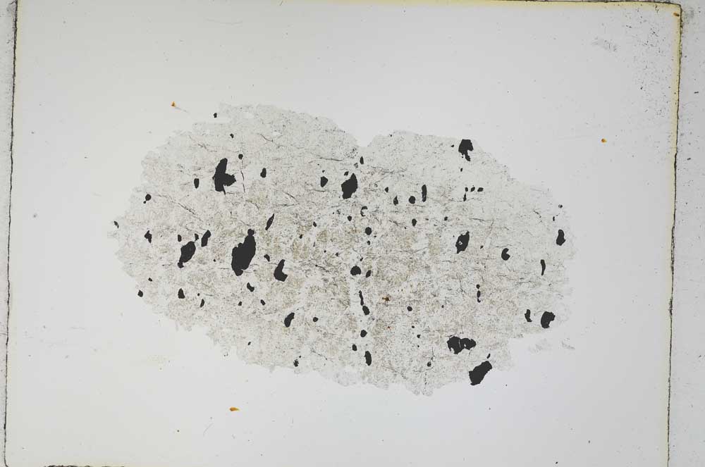 Plane Polarized, S4072