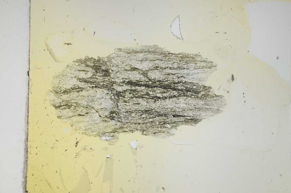 Plane Polarized, S4112