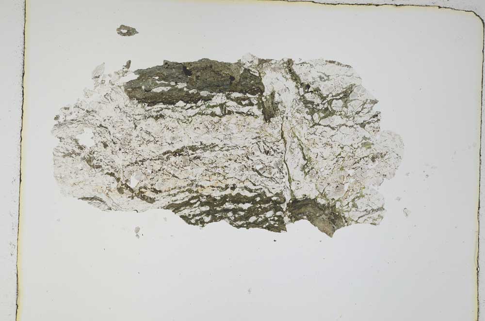 Plane Polarized, S4148
