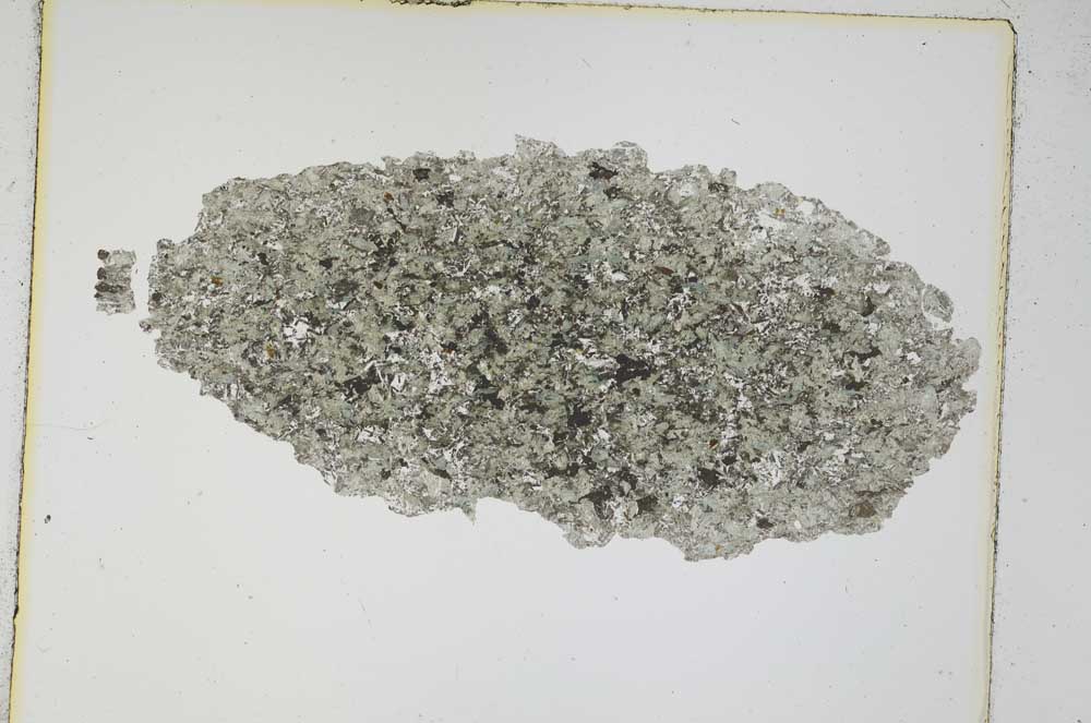 Plane Polarized, S4156