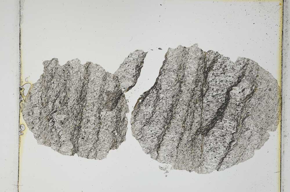 Plane Polarized, S4174