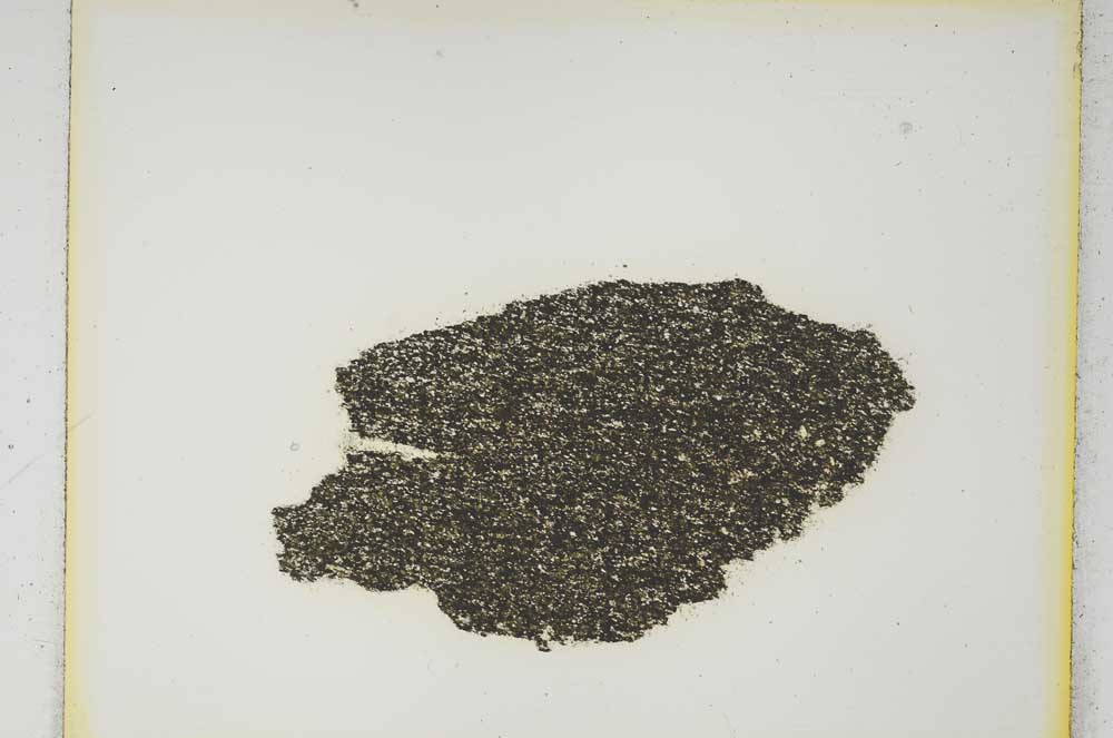 Plane Polarized, S4175