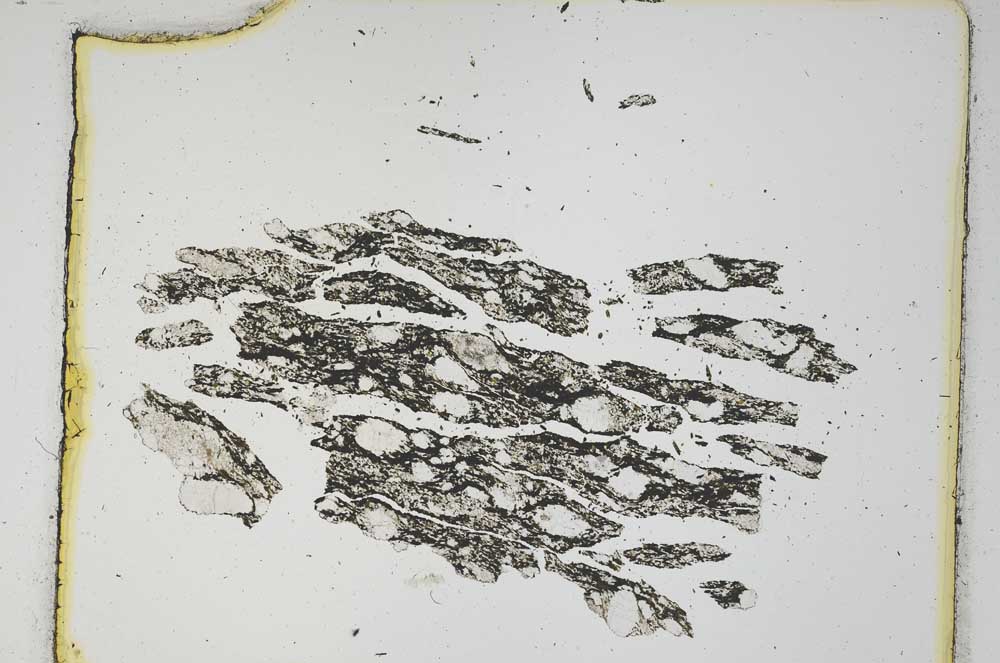 Plane Polarized, S4177